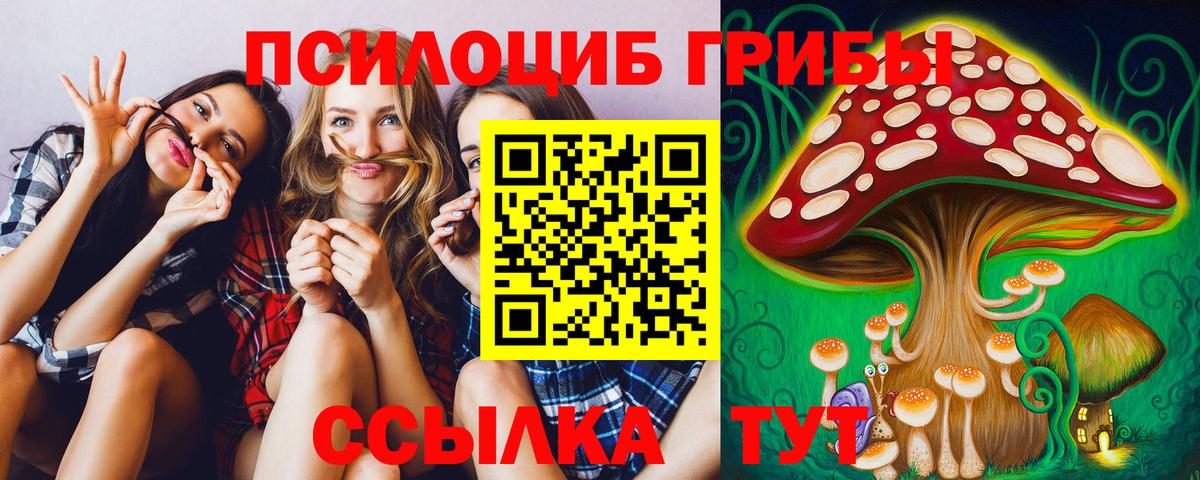 Псилоцибиновые грибы Cubensis Соликамск